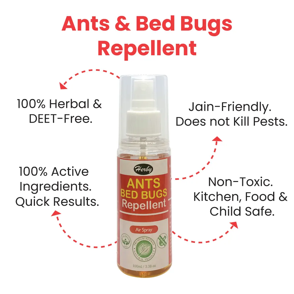 30-ml-ant-2-