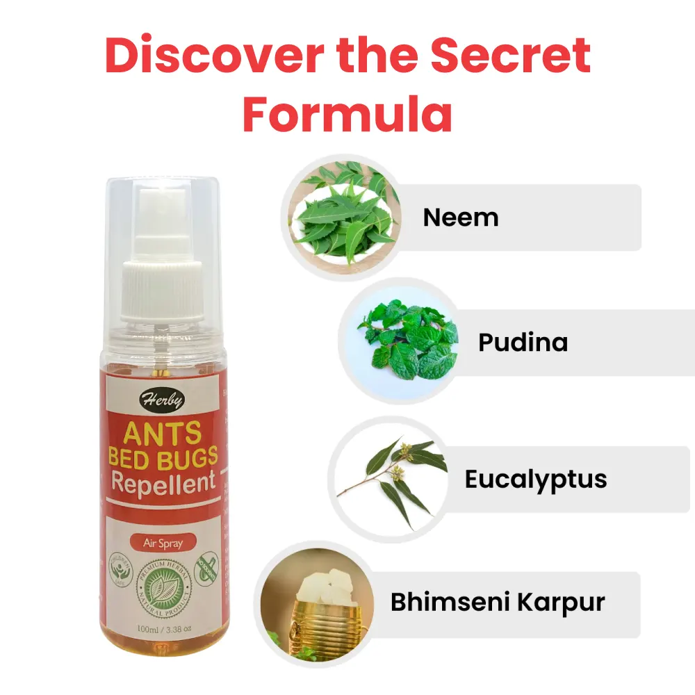 30-ml-ant3-